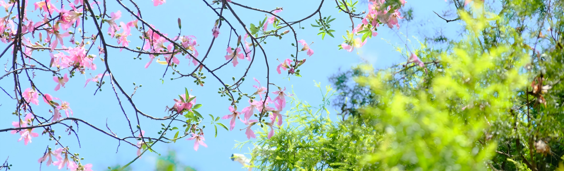 suncitygroup太阳集团